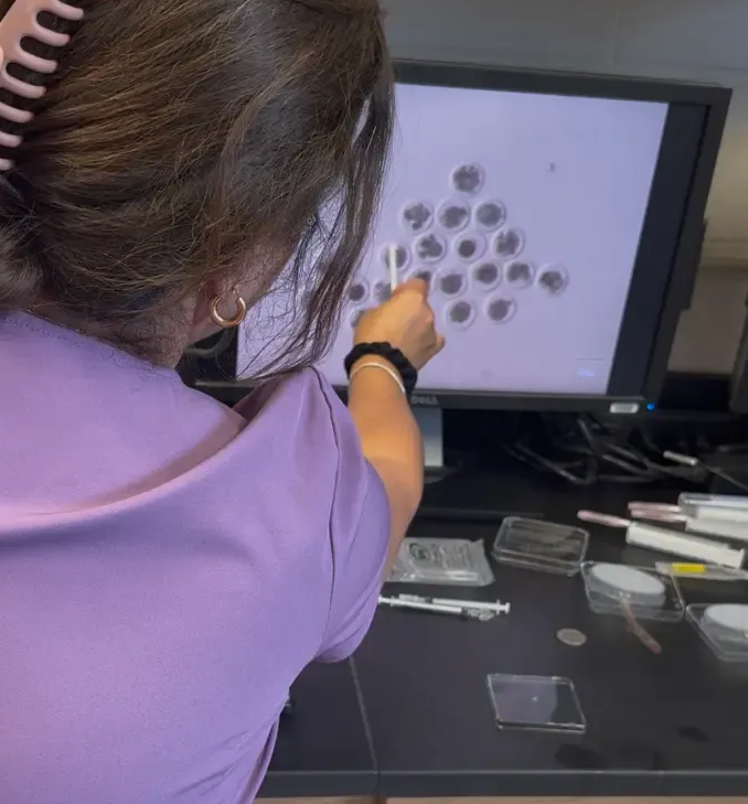 Person at a desk points at a computer screen showing a dot pattern activity