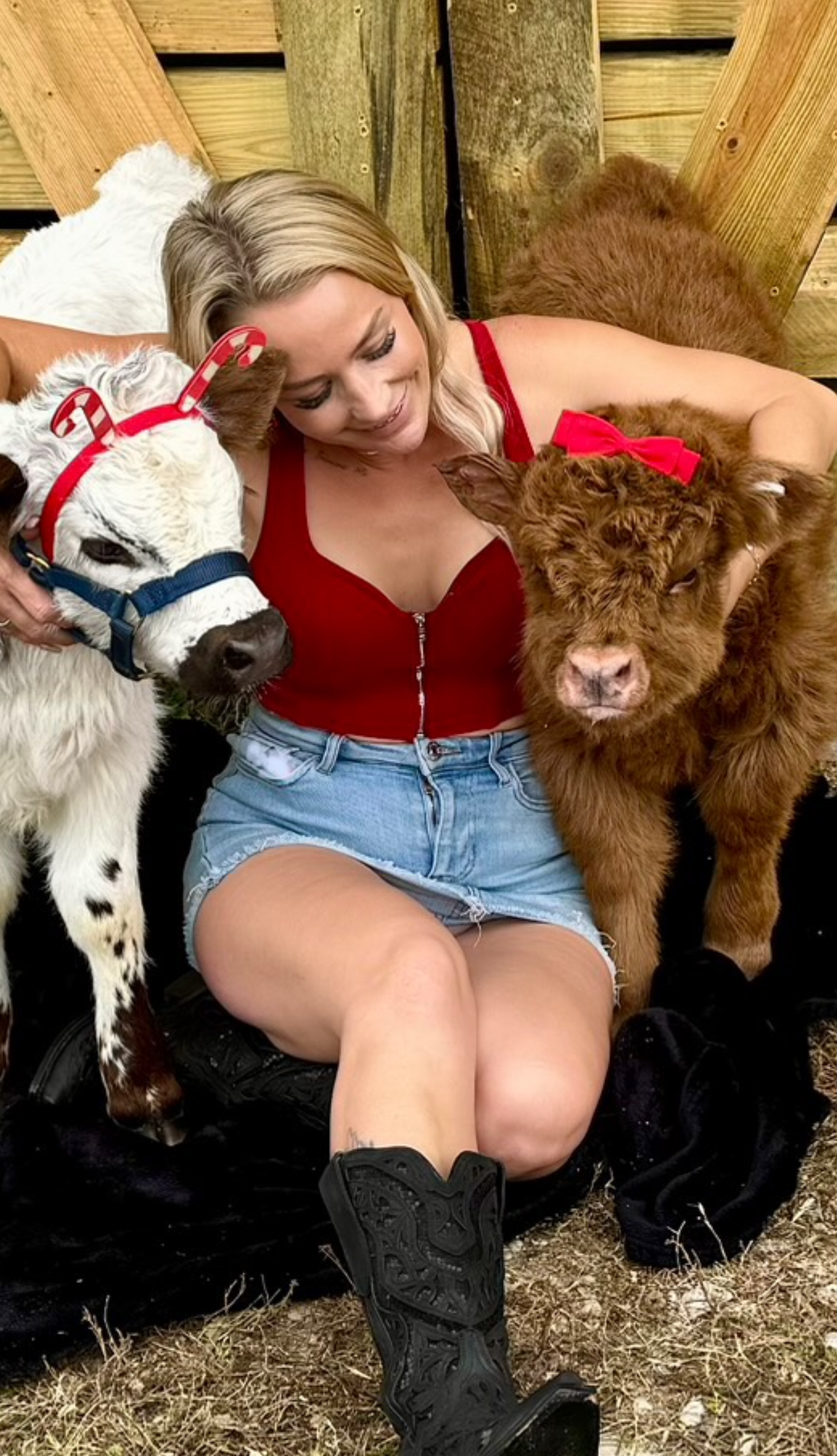 A woman is sitting next to two cows in a pen.