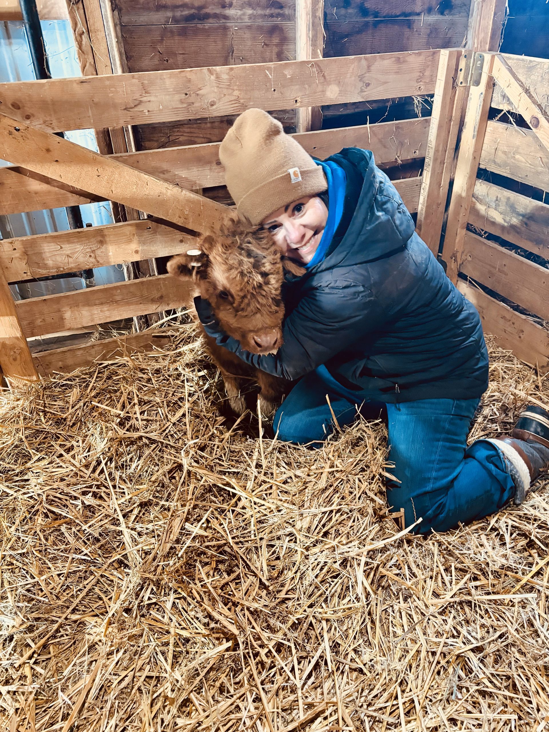 A woman is kneeling down next to a calf in a pen.