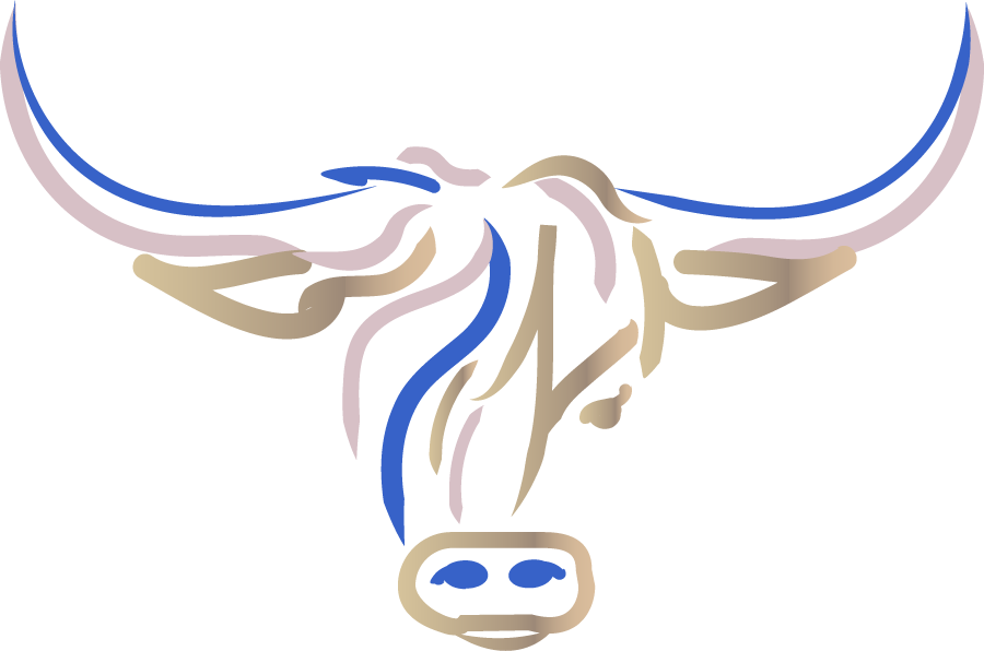 A drawing of a bull 's head with long horns on a white background.