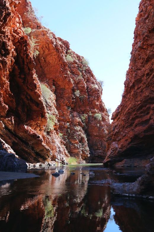 Red canyon walls reflect in a calm, shallow river under a clear blue sky.