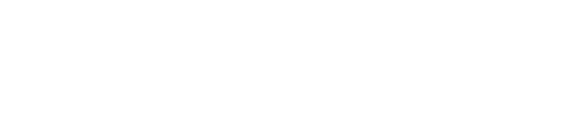 ZP Fitness