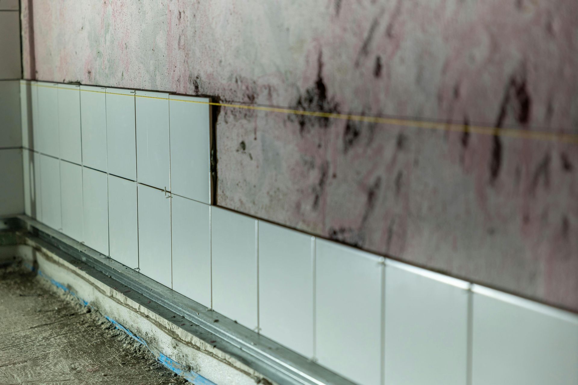mold inspection and mold testing services in Northeast Ohio