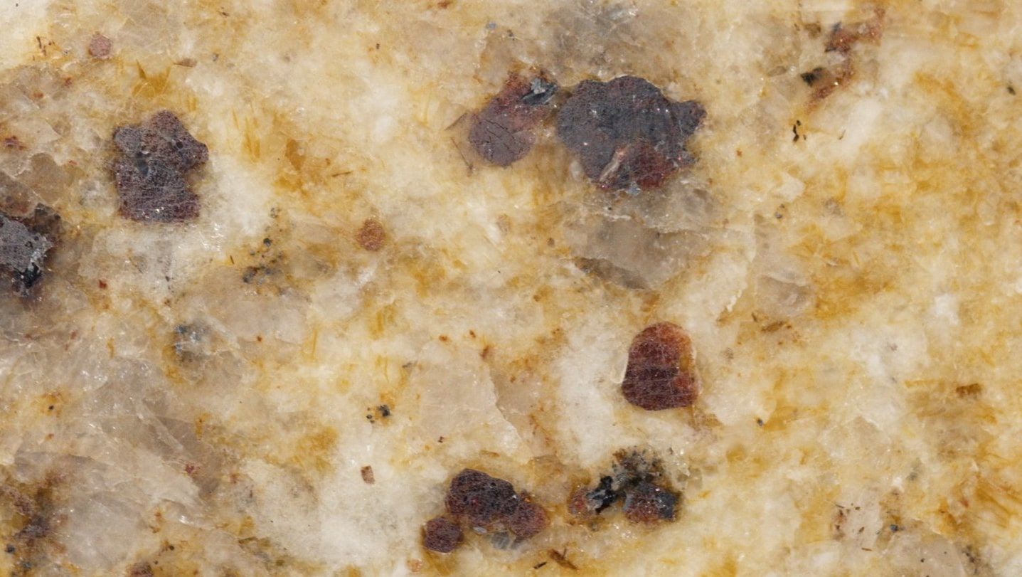 mold+removal+service+in+solon+oh