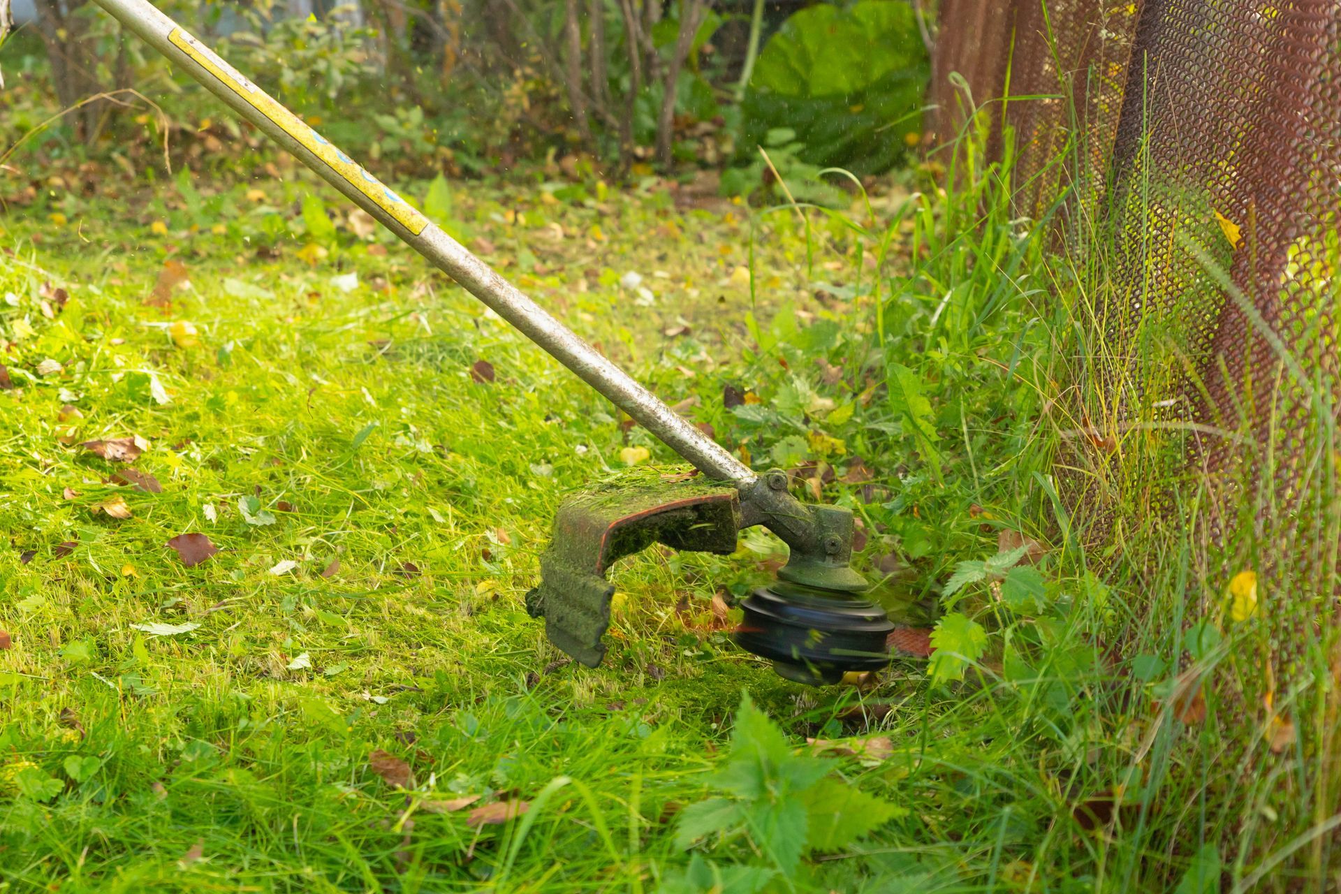 String trimmer cutting grass near a rusty fence.