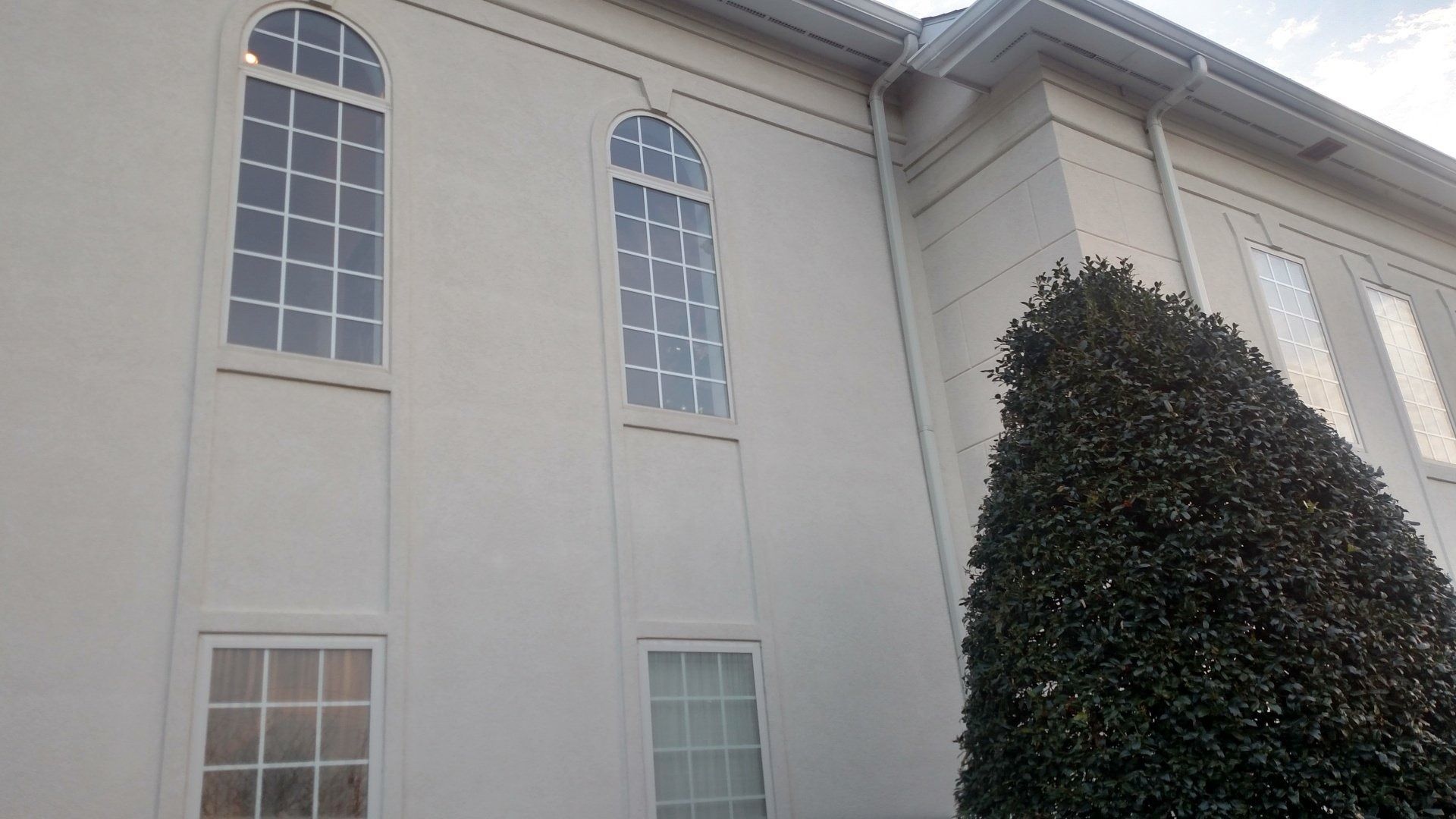 Tall beige building with arched windows and a large evergreen tree beside it