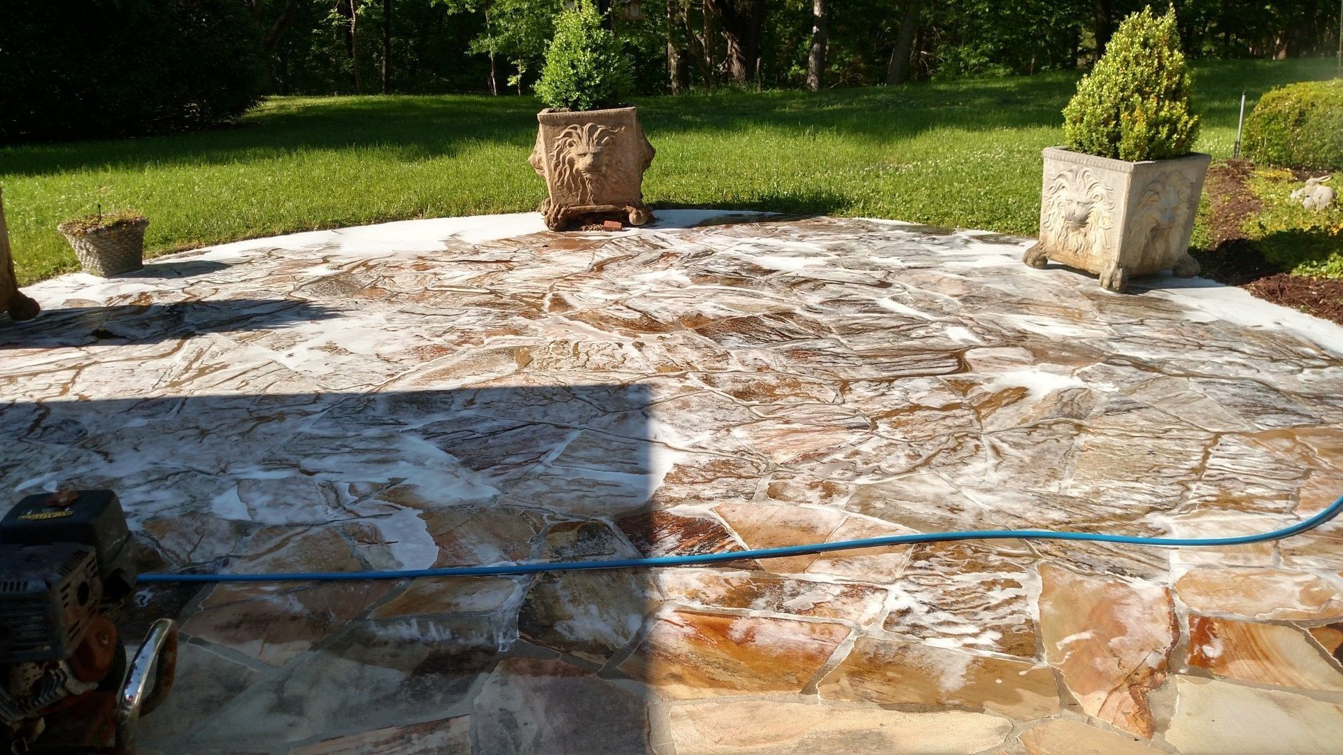 Wet stone patio with a garden hose, potted plants, and a grassy yard in the background