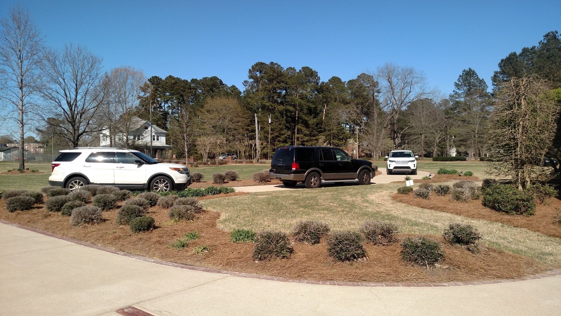 Three parked SUVs on a sunny driveway with trees and a clear blue sky in the background