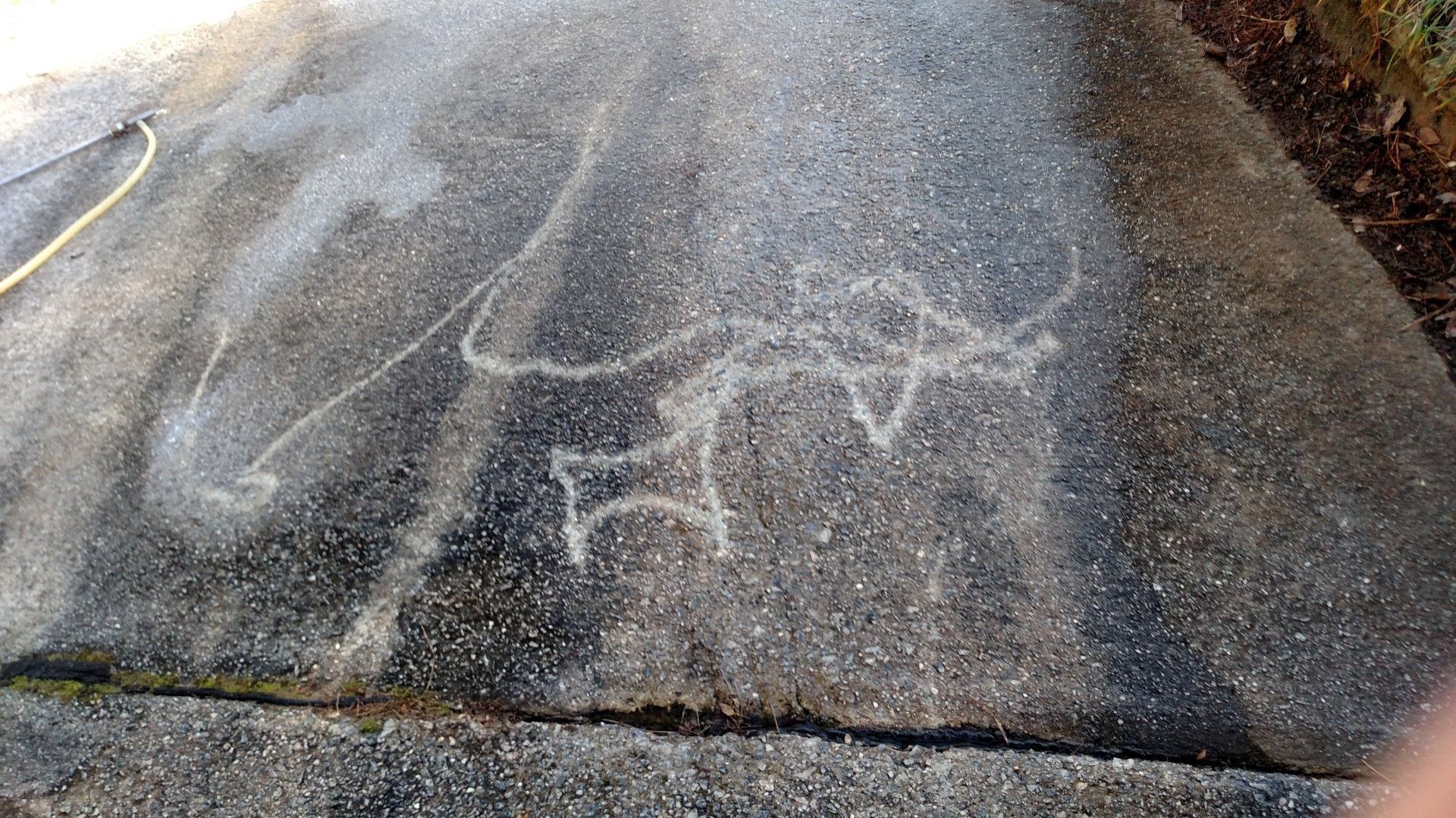 Cracked concrete sidewalk with white chalk markings and a yellow hose along the left edge