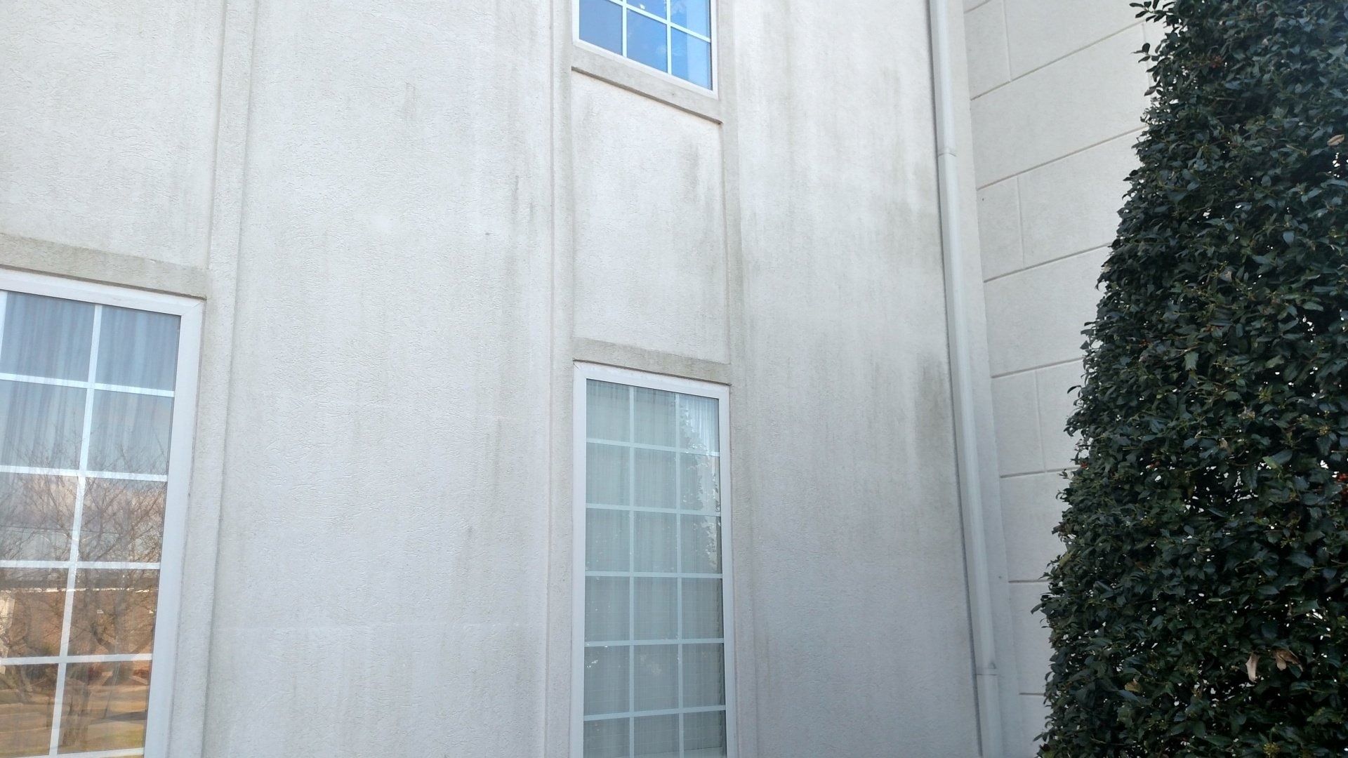 Exterior beige stucco wall with two windows beside a tall evergreen hedge