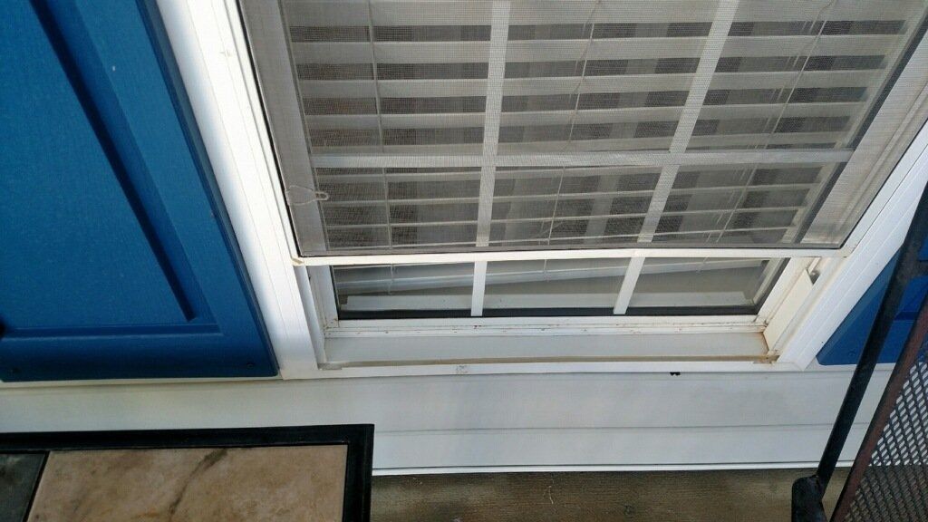 White screened window with blue shutters and a black railing at the bottom