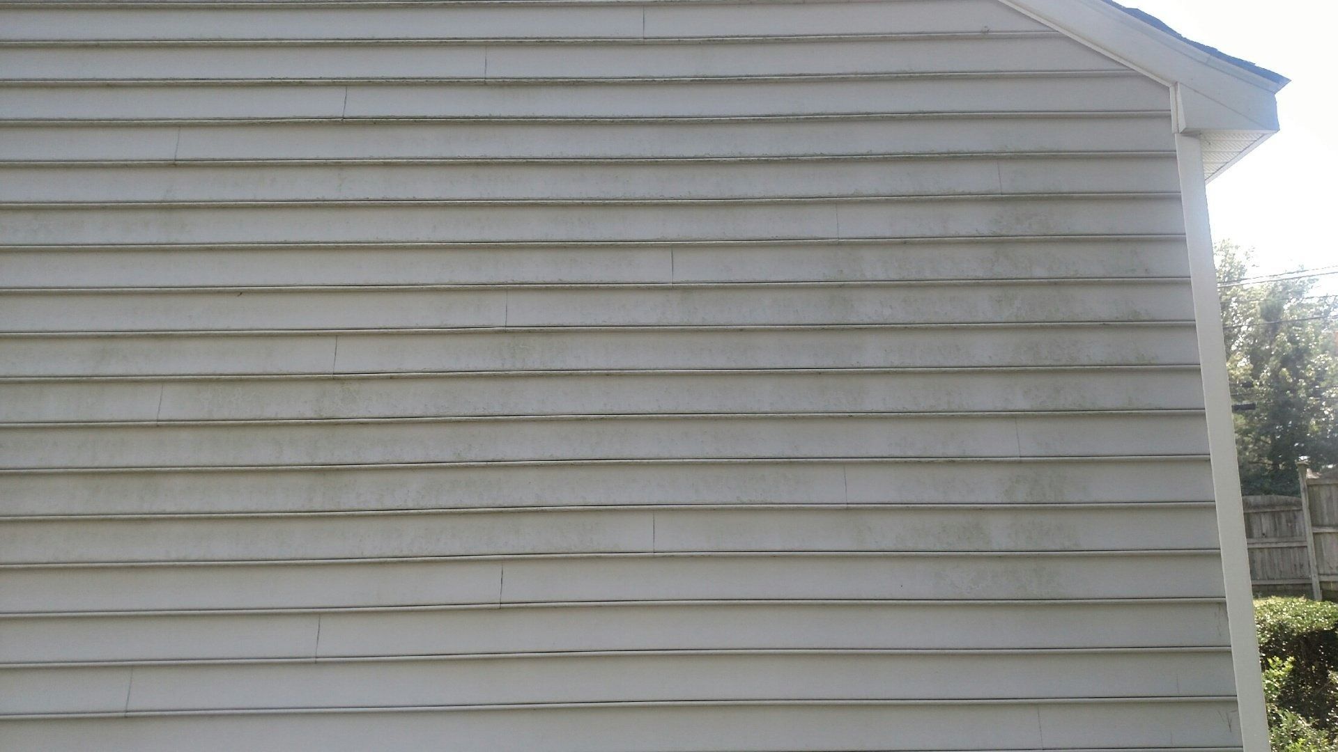 White vinyl-sided house exterior wall with a small window edge visible on the right.