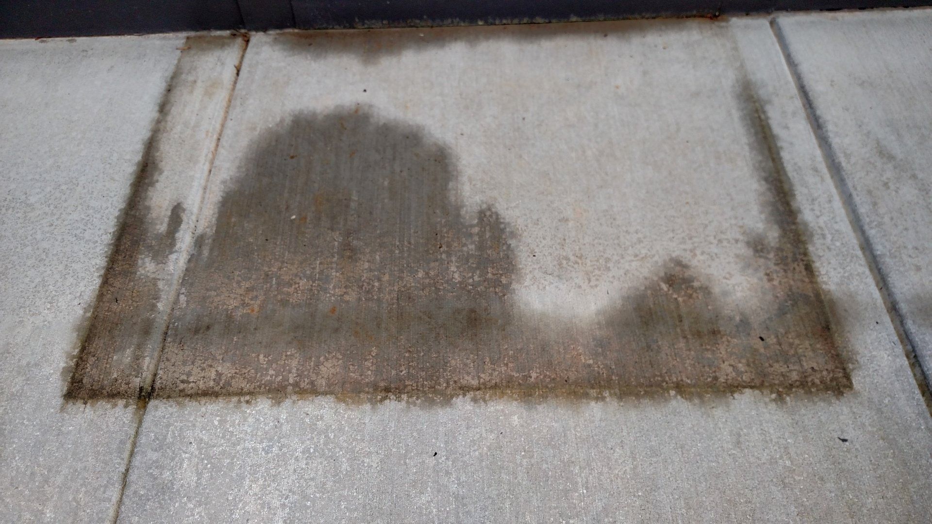 Wet rectangular patch on a concrete sidewalk, darker than the surrounding pavement.