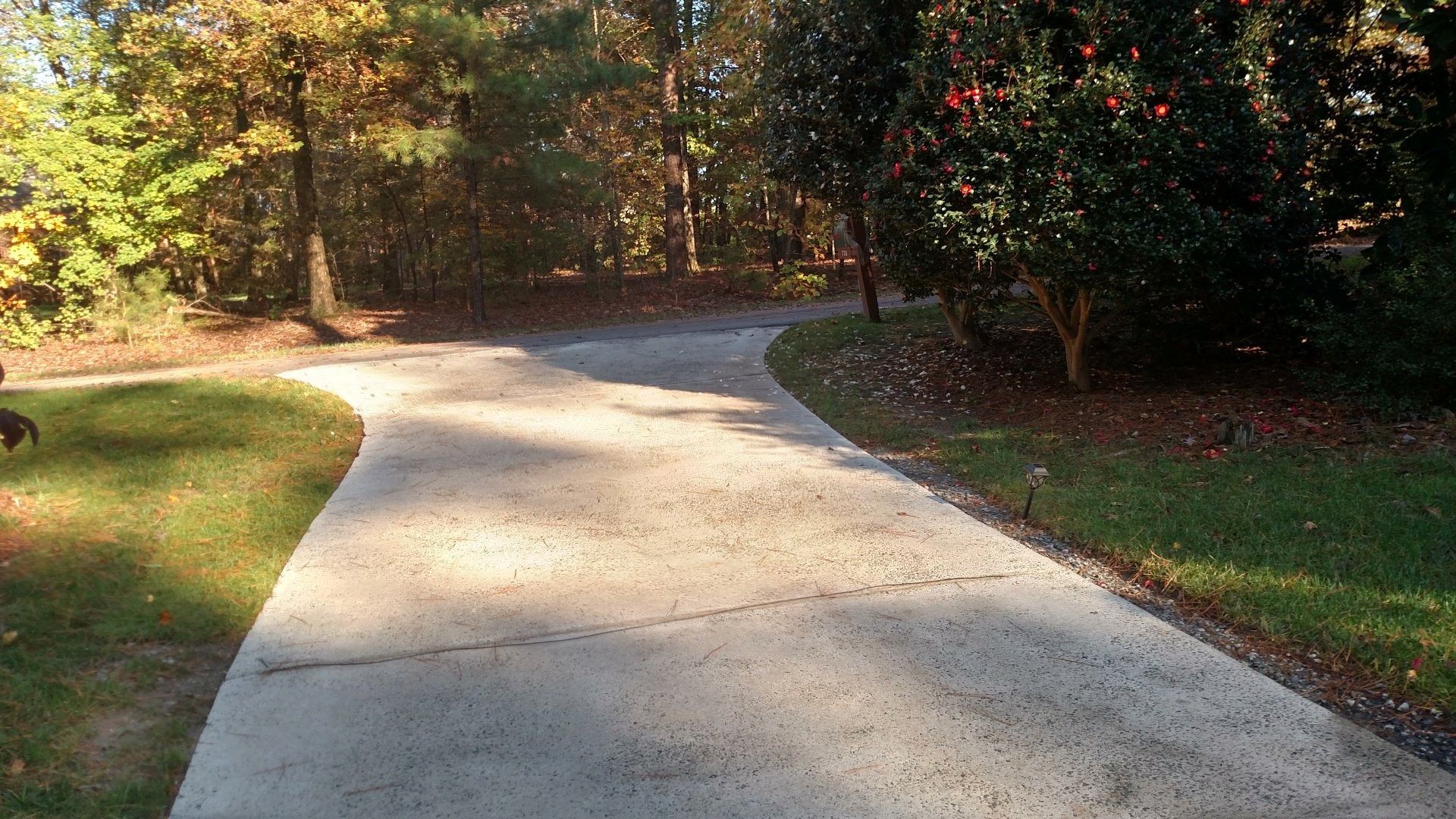 Curving concrete path through a wooded park with green grass and autumn foliage