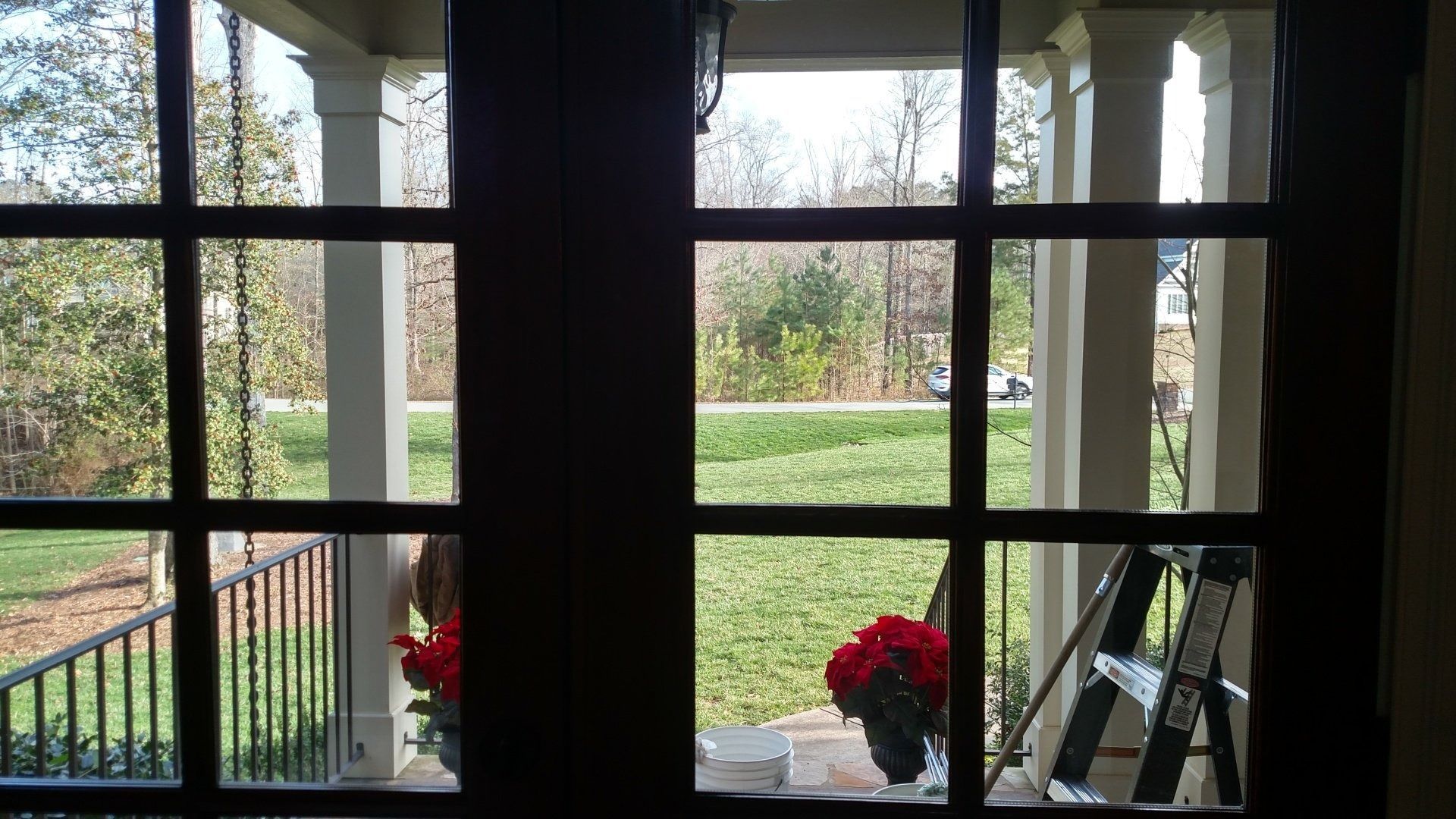 View through a window to a green yard with red flowers on the sill and a ladder outside