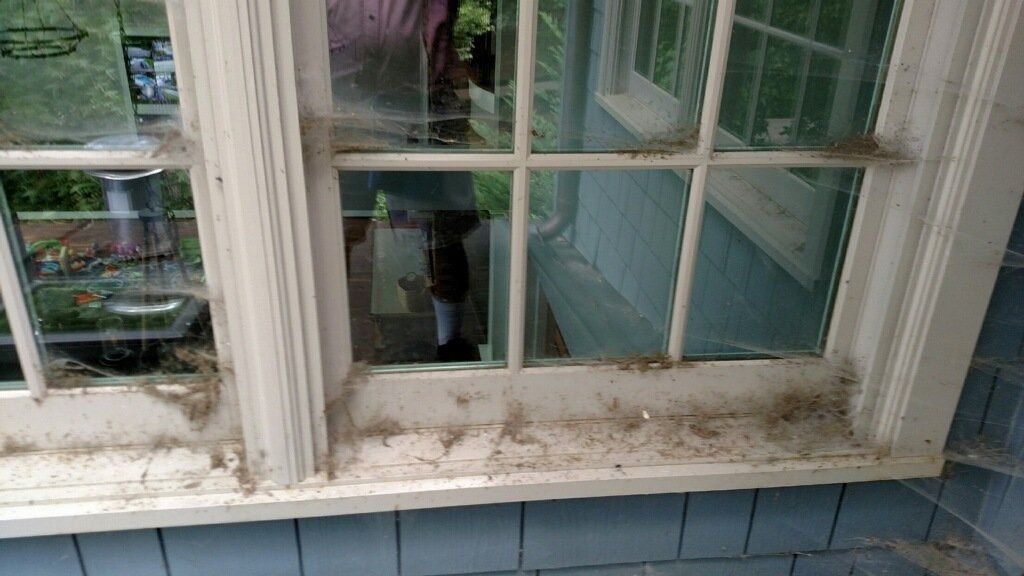 Dirty white-framed window with peeling paint and a blue sill on a house exterior