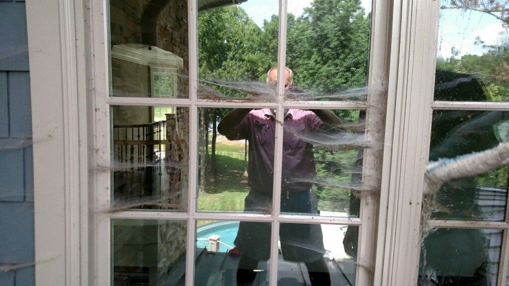 Person seen through a window holding a camera, with a green yard in the background.
