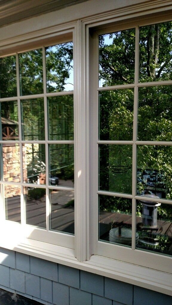 Sunlit windows with white frames overlooking a leafy garden and patio chair