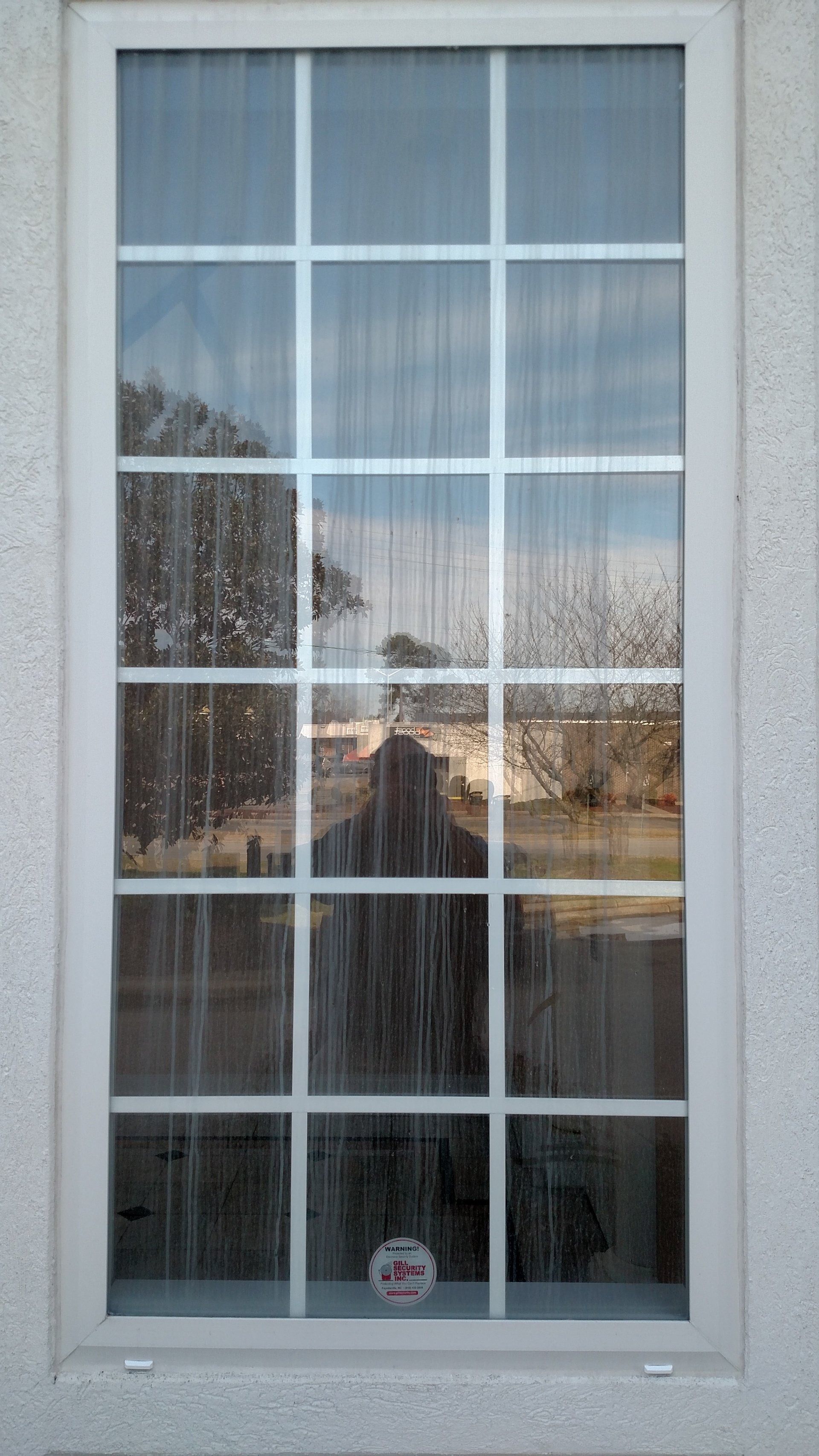 White window with divided panes reflecting trees and the sky.