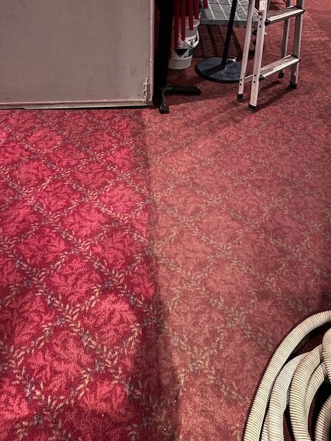 Moquette rouge à motifs, nettoyée à moitié. Une partie est décolorée, à côté d'une partie impeccable.