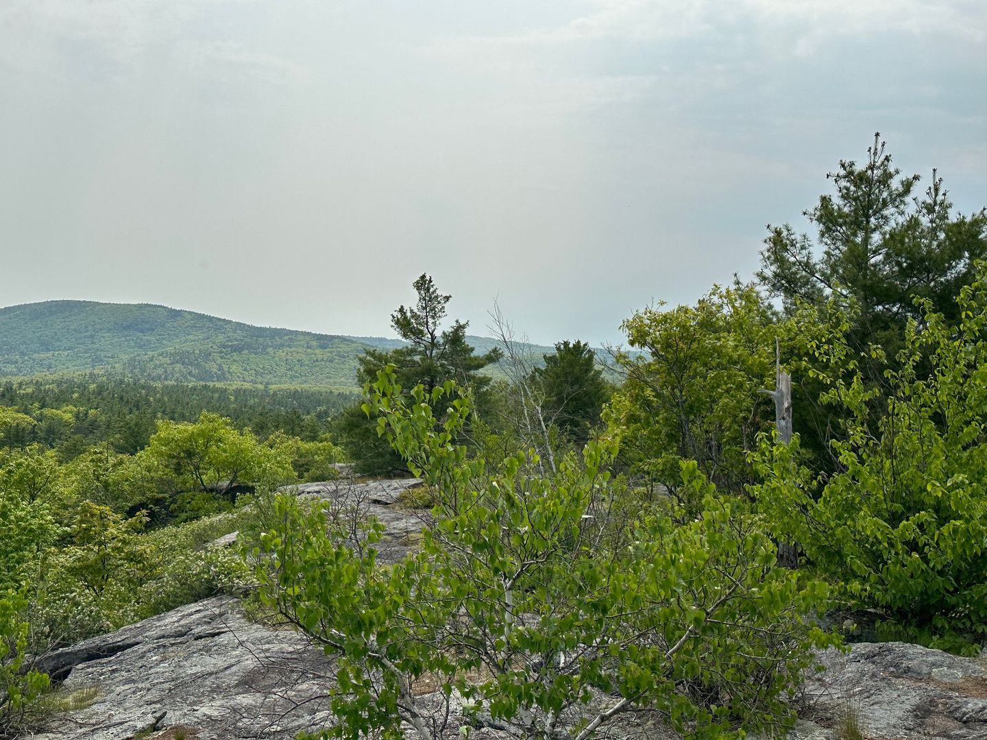 view from cliffs of the blue hills are in new hampshire