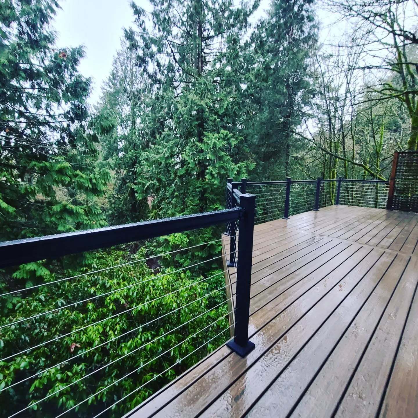Wooden deck with black railing and cable overlooking lush green trees. 