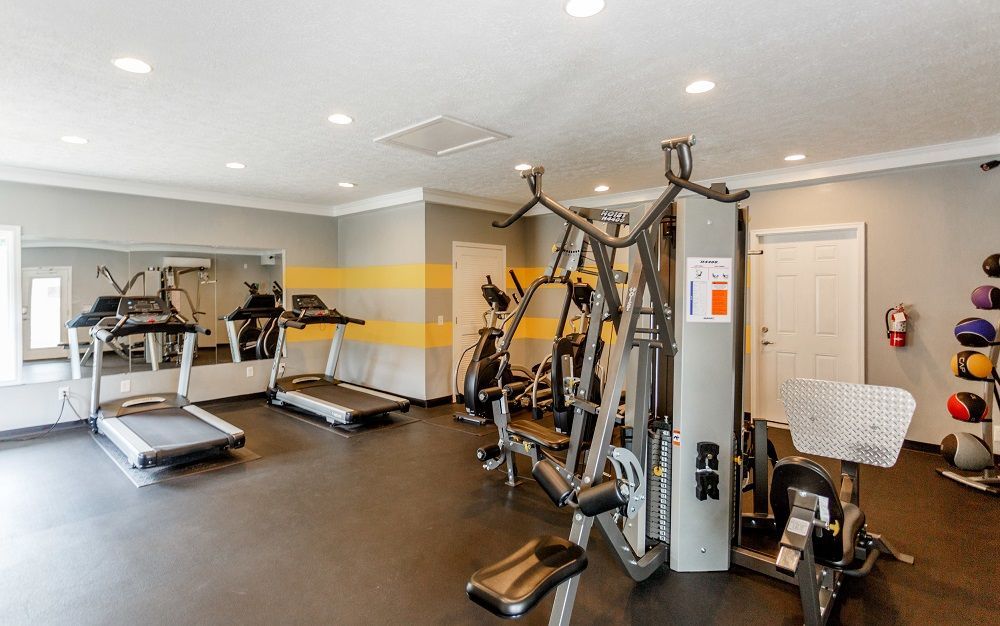 A bright gym interior with treadmills, a multi-station weight machine, and a rack of medicine balls against a grey wall.