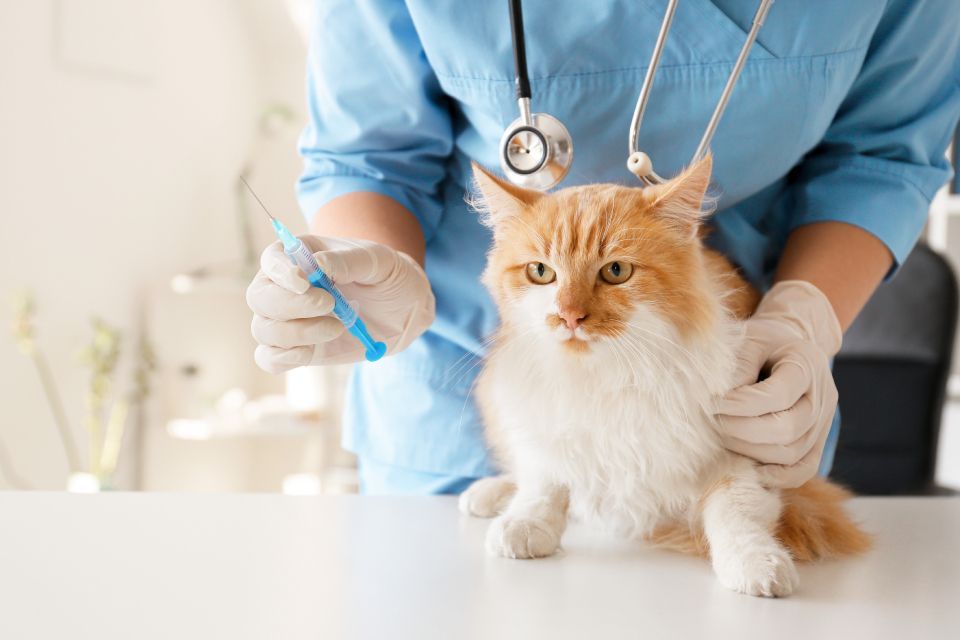 general care