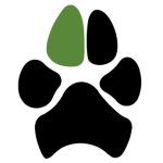 paw