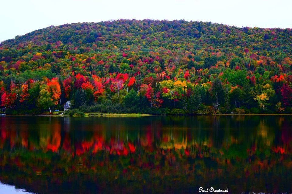 Neal pond in the fall with trees turning red, yellows and orange