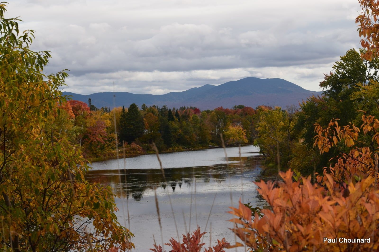Fall foliage on the Connecticut river in Lunenburg