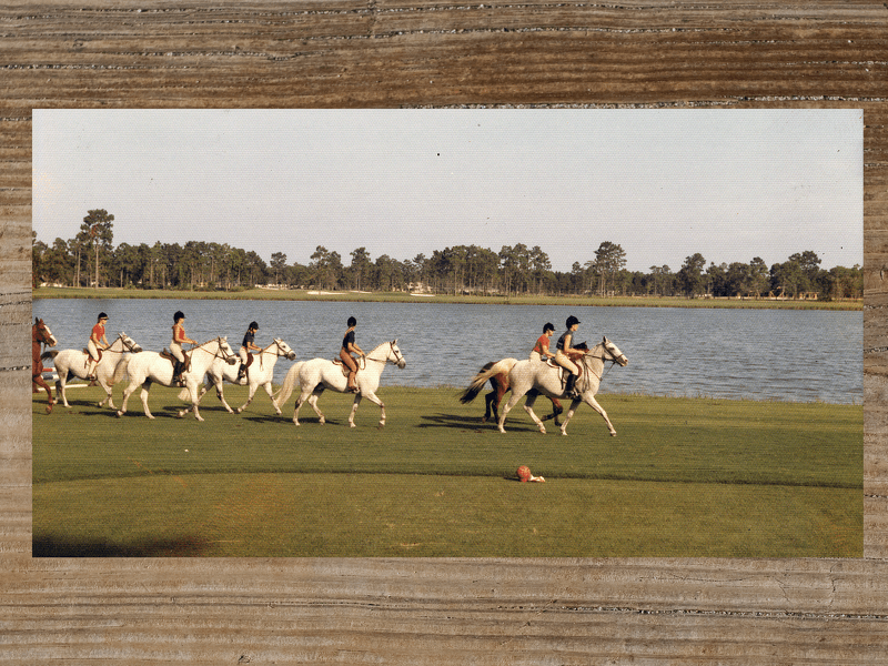 Group of riders on white horses riding across a green lawn near a lake.