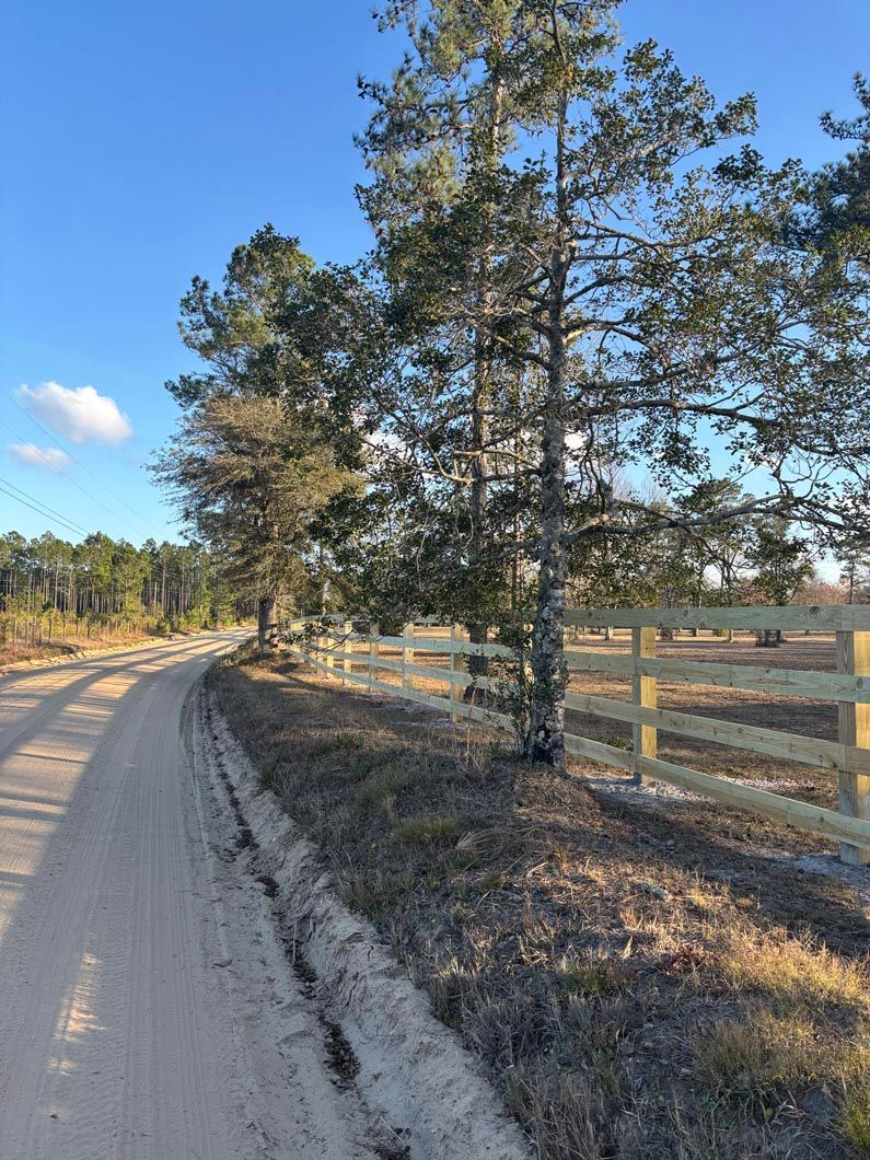 Dirt road curving past pine trees and a wooden fence under a clear blue sky