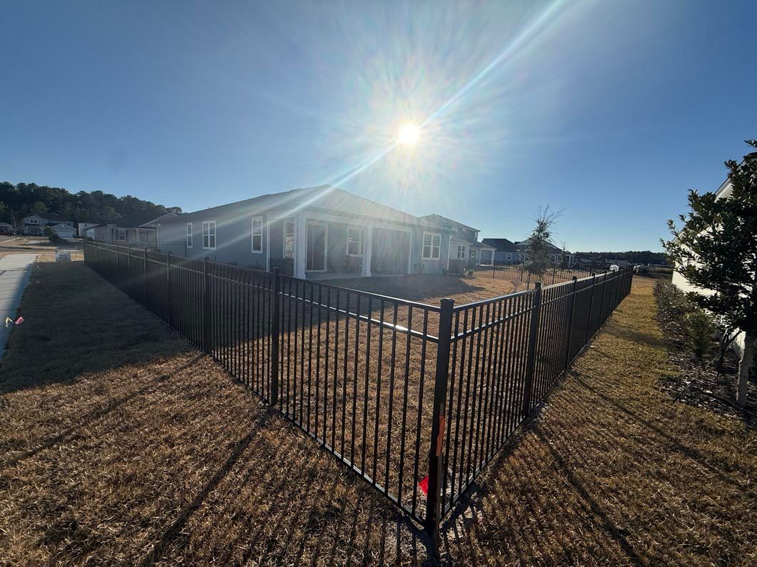 Sunlit residential yard with black metal fence and a single-story house in the background