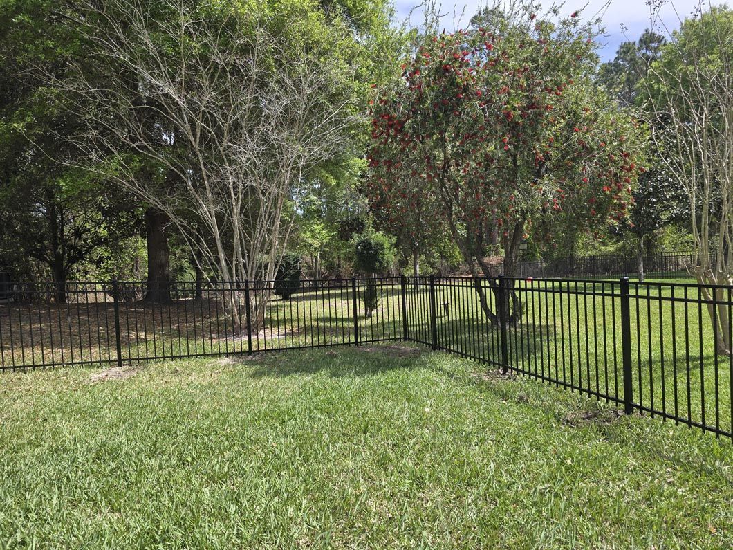Grassy backyard with a black metal fence and trees in the background