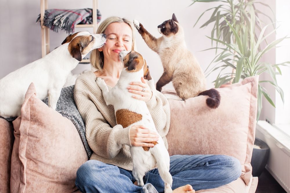Woman house sitting and taking care of two dogs and a cat.