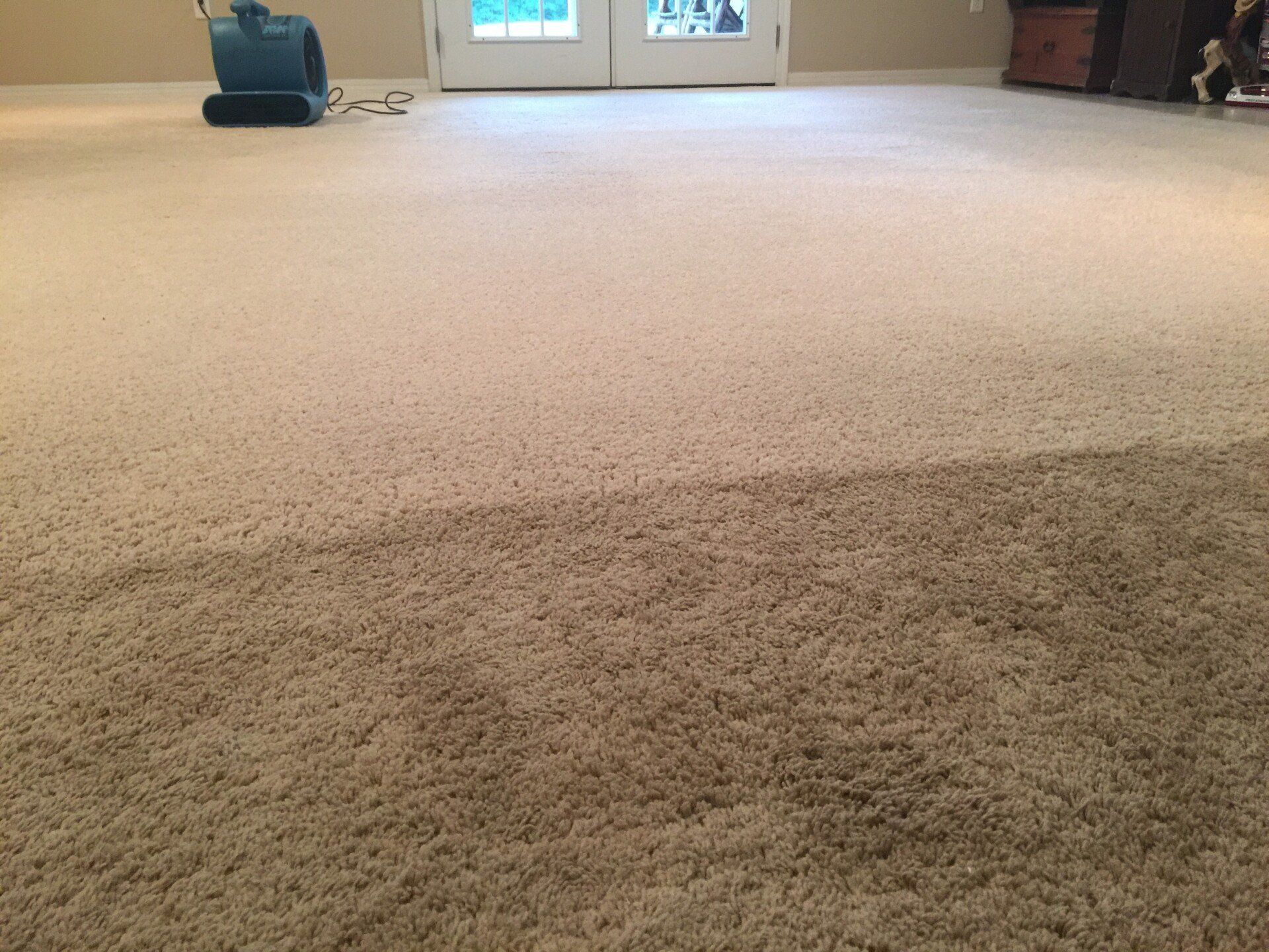 Vacuum cleaner