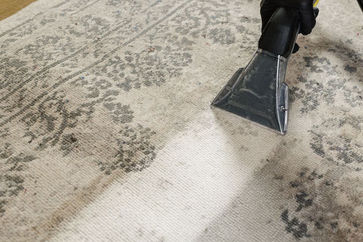 Vacuuming a patterned carpet, cleaning a bright strip along the edge