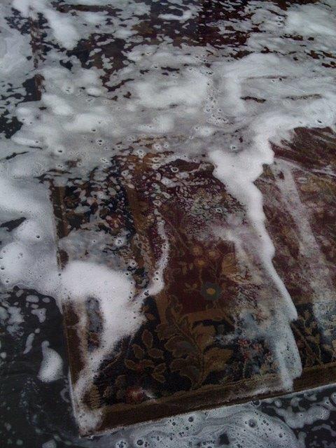 Cleaning the carpet rug