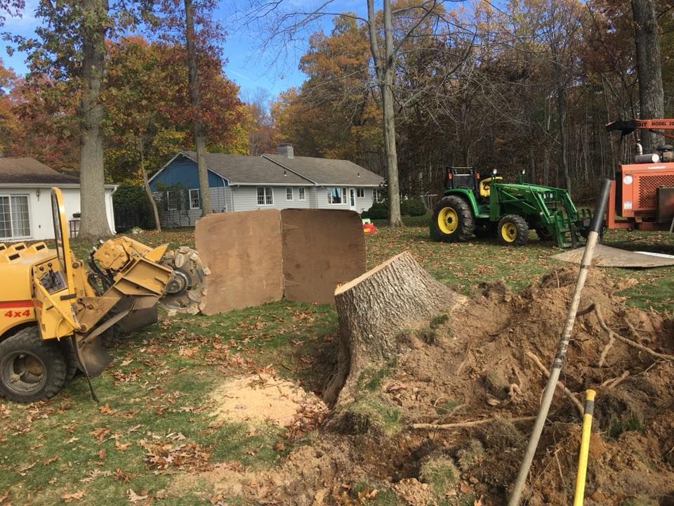 A stump grinder and a green tractor work to remove a large tree stump in a yard on an autumn day.