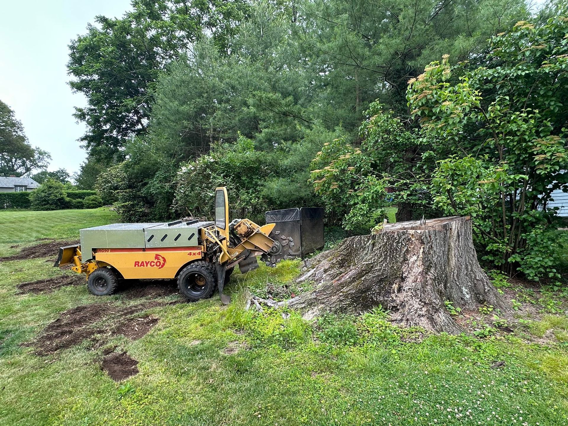 A yellow stump grinder sits on a grassy lawn next to a large tree stump, ready to begin removal work.