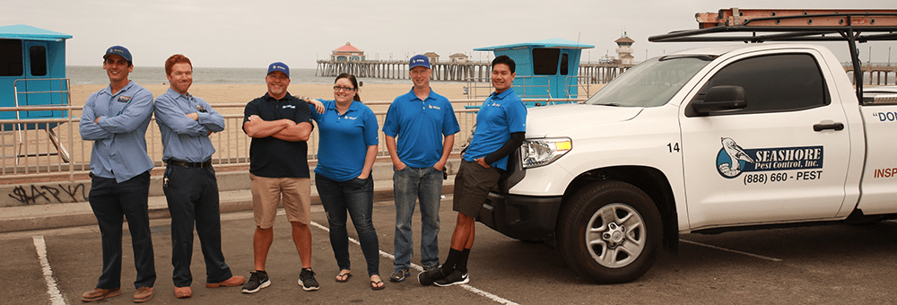 Seashore Pest Control - our team