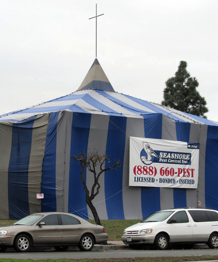 Seashore Pest Control
