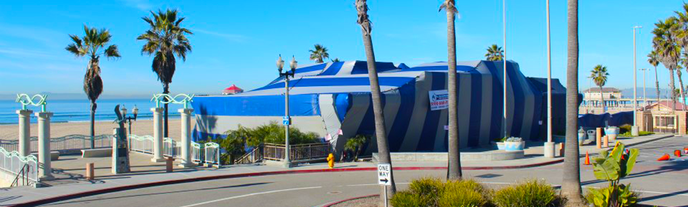 Seashore Pest Control - full tenting if needed