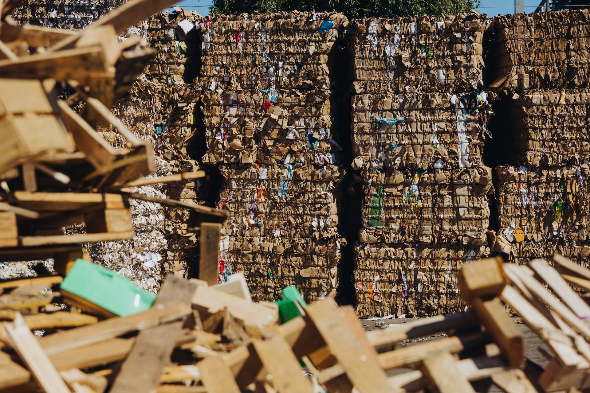 In un centro di riciclaggio, pile di balle di cartone si trovano, con scarti di lavorazione e pallet di legno in primo piano.