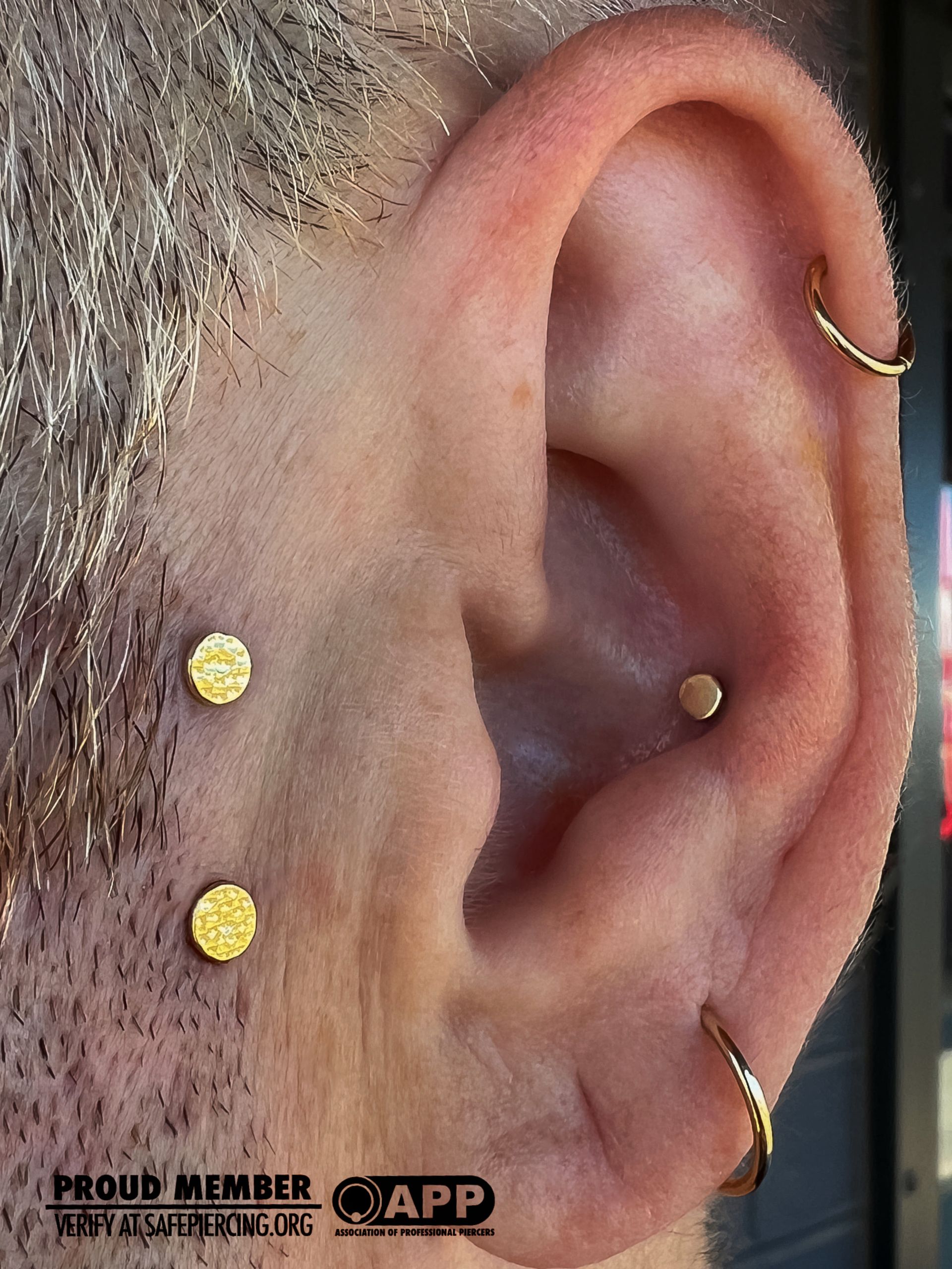 Close-up of a pierced ear with gold studs and a small hoop, plus a black ear gauge.