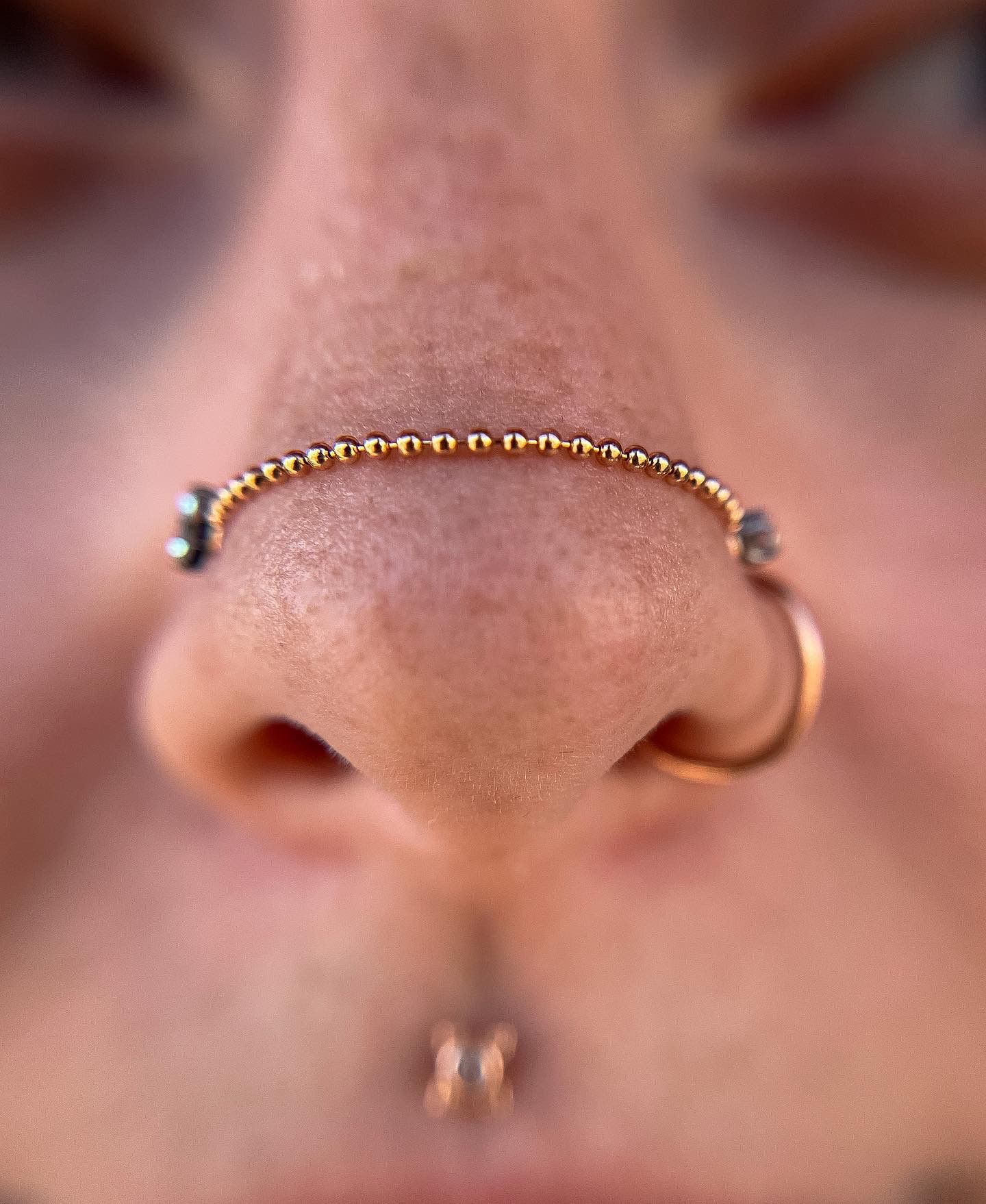 Close-up of a nose with gold septum jewelry and a gold chain connected to a nostril hoop.