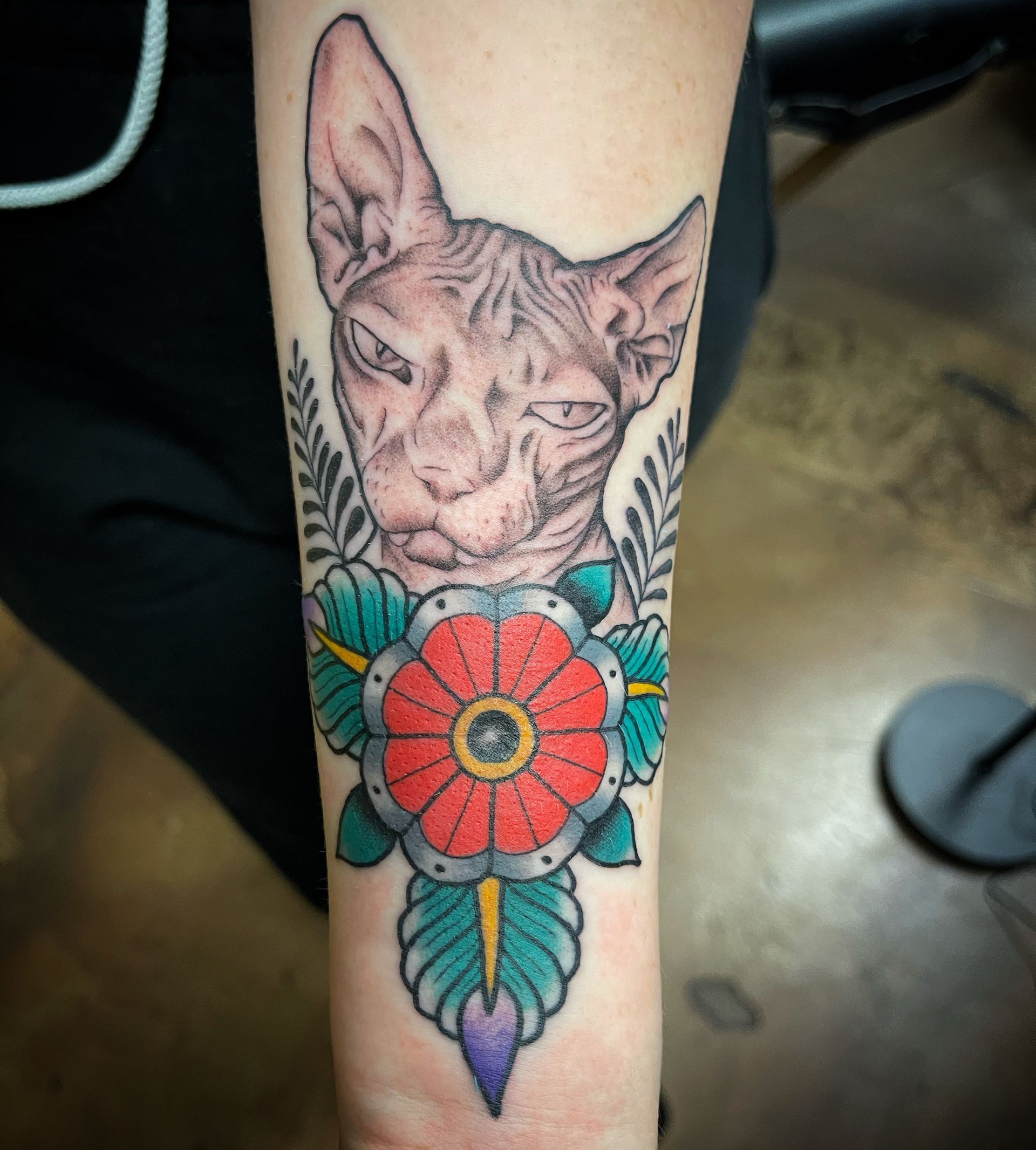 Sphynx cat portrait tattoo with red flower and green leaves on forearm.
