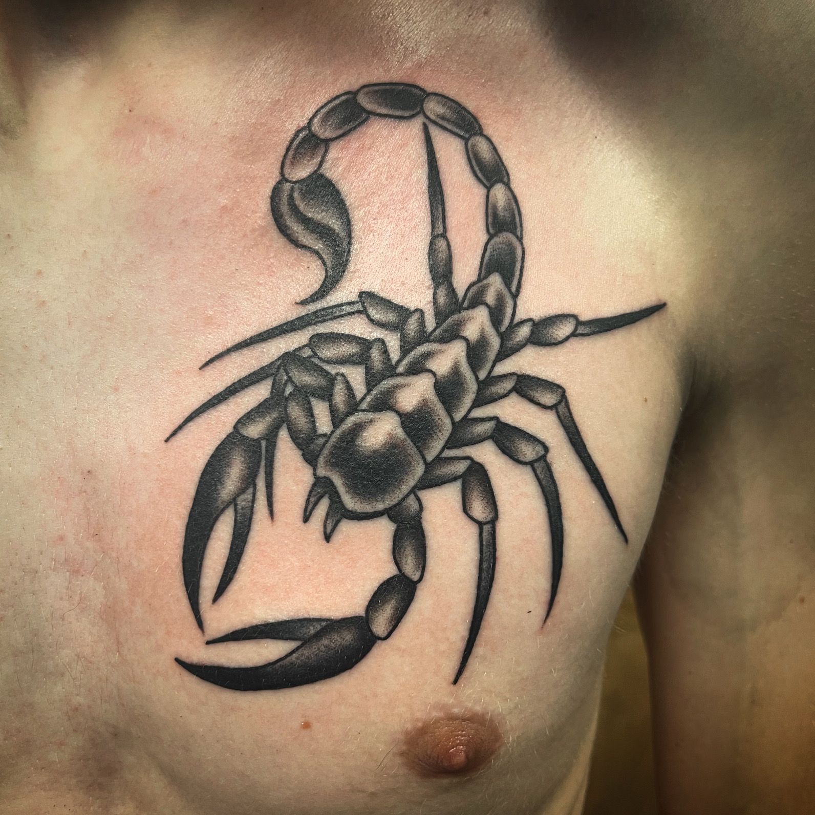 Tattoo of a black scorpion on a person's chest, showing details like pincers, segmented body, and curved tail.