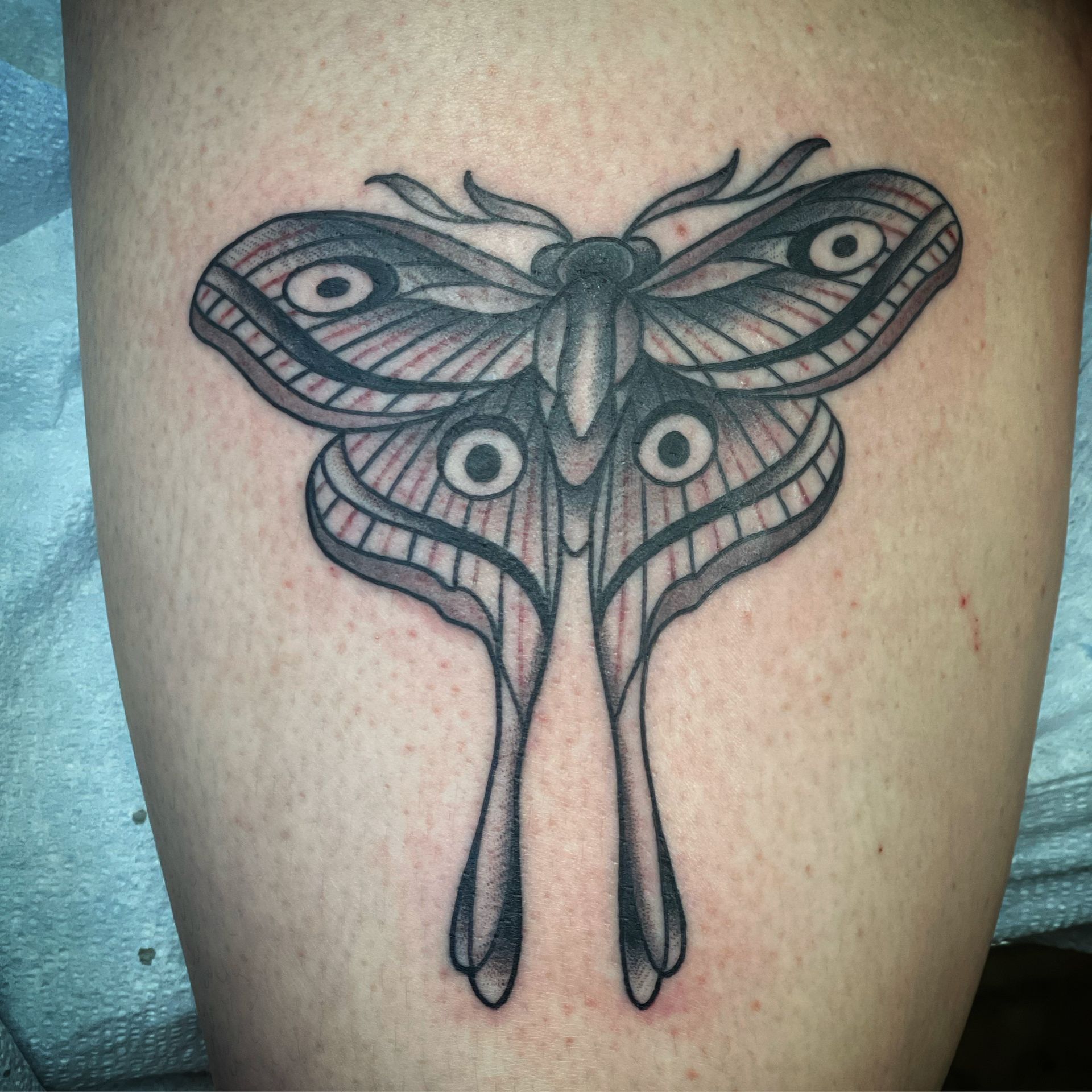 Black and gray moth tattoo on skin.